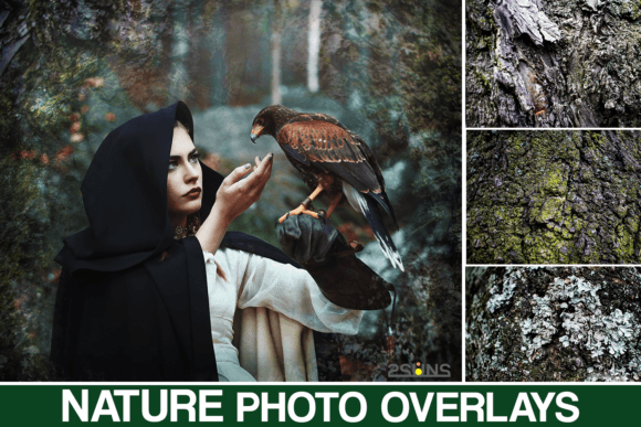 30 Nature Textures, Vintage Wood Dark: A Strategic Design Asset