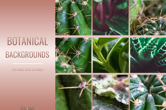 Botanical Textures Pack Backgrounds for Creative Projects