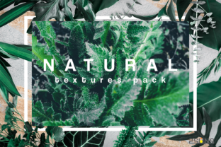 Nature Textures Flowers Hay Grass: Elevate Your Creative Projects with High-Resolution Digital Assets