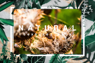 Nature Textures Stone Snake Beetle Grass: A Comprehensive Overview